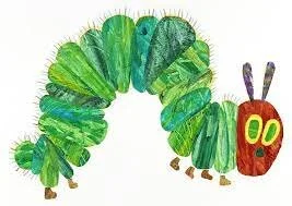 A Very Hungry Caterpillar (not a Fall Armyworm)