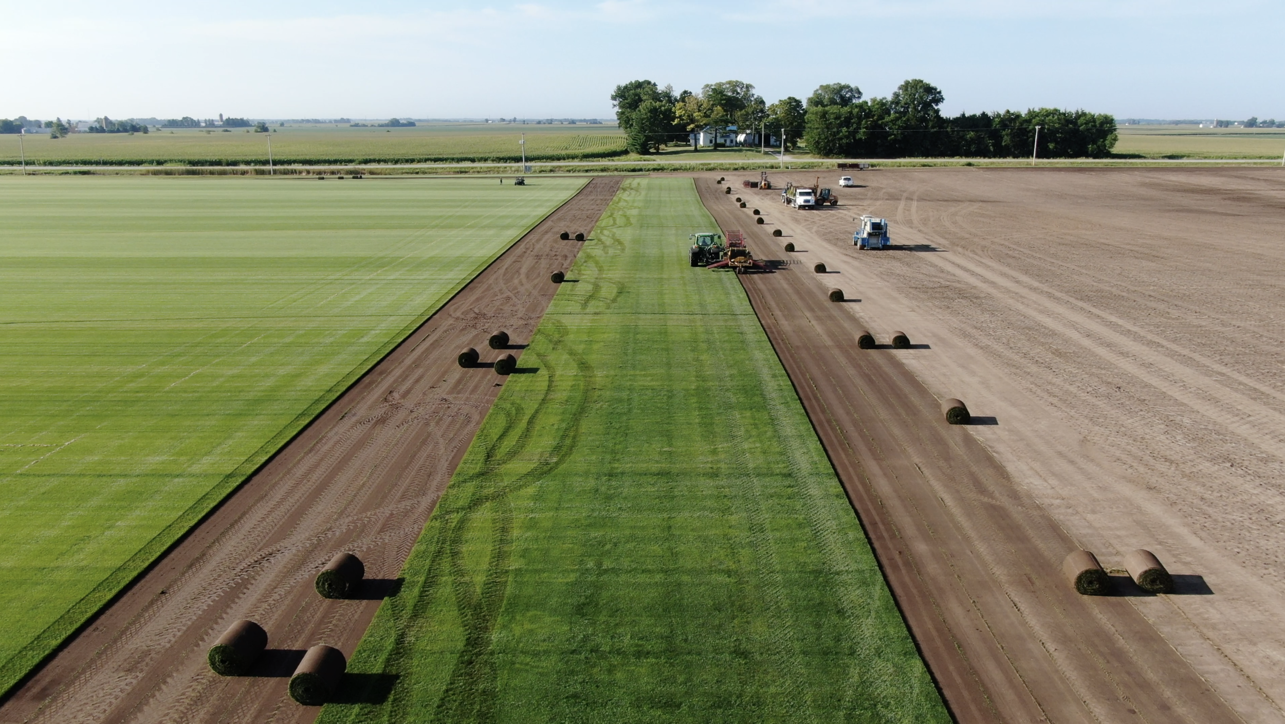 grass sod for sale Iowa.png