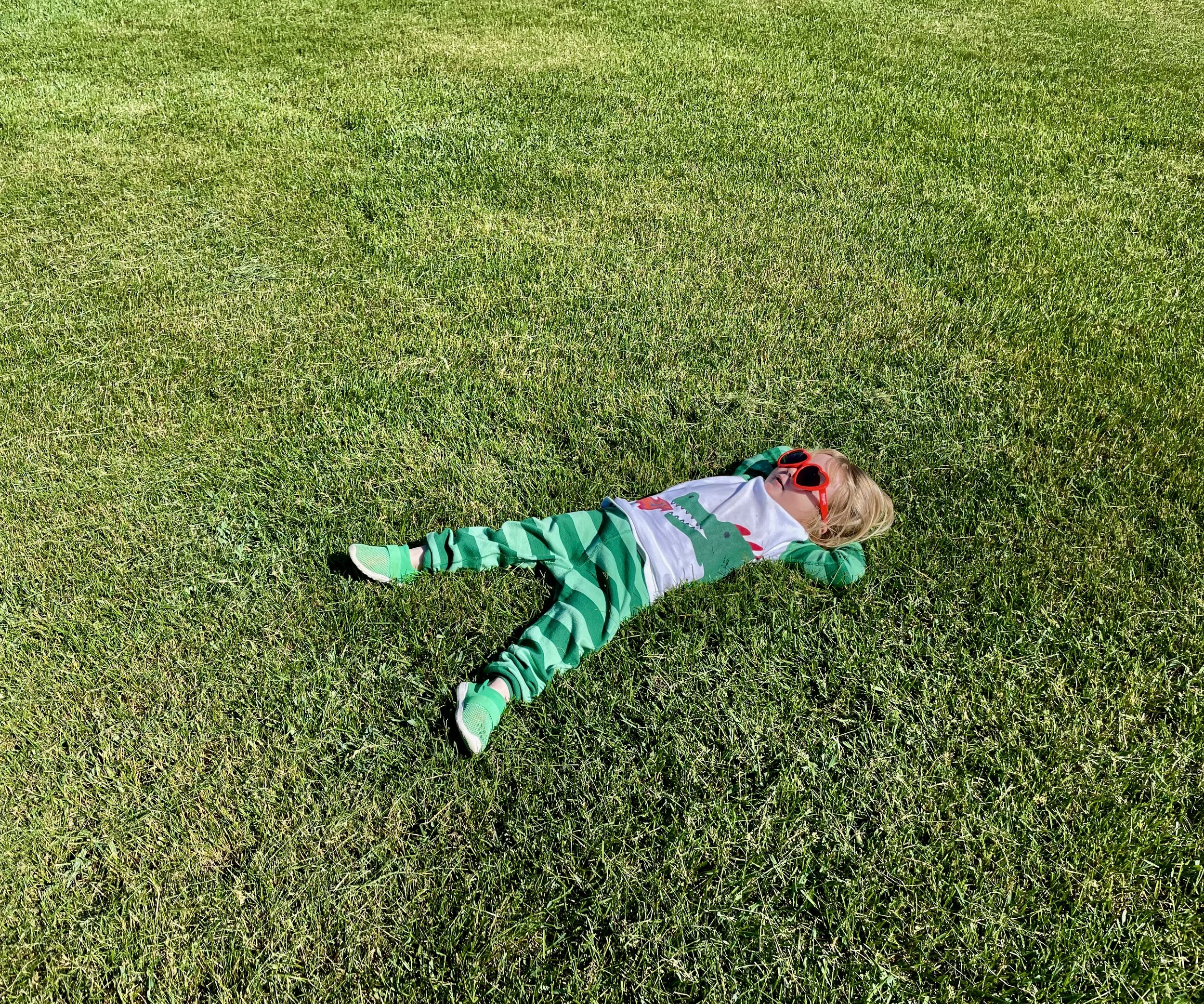 Sod delivered near me in Iowa.jpeg