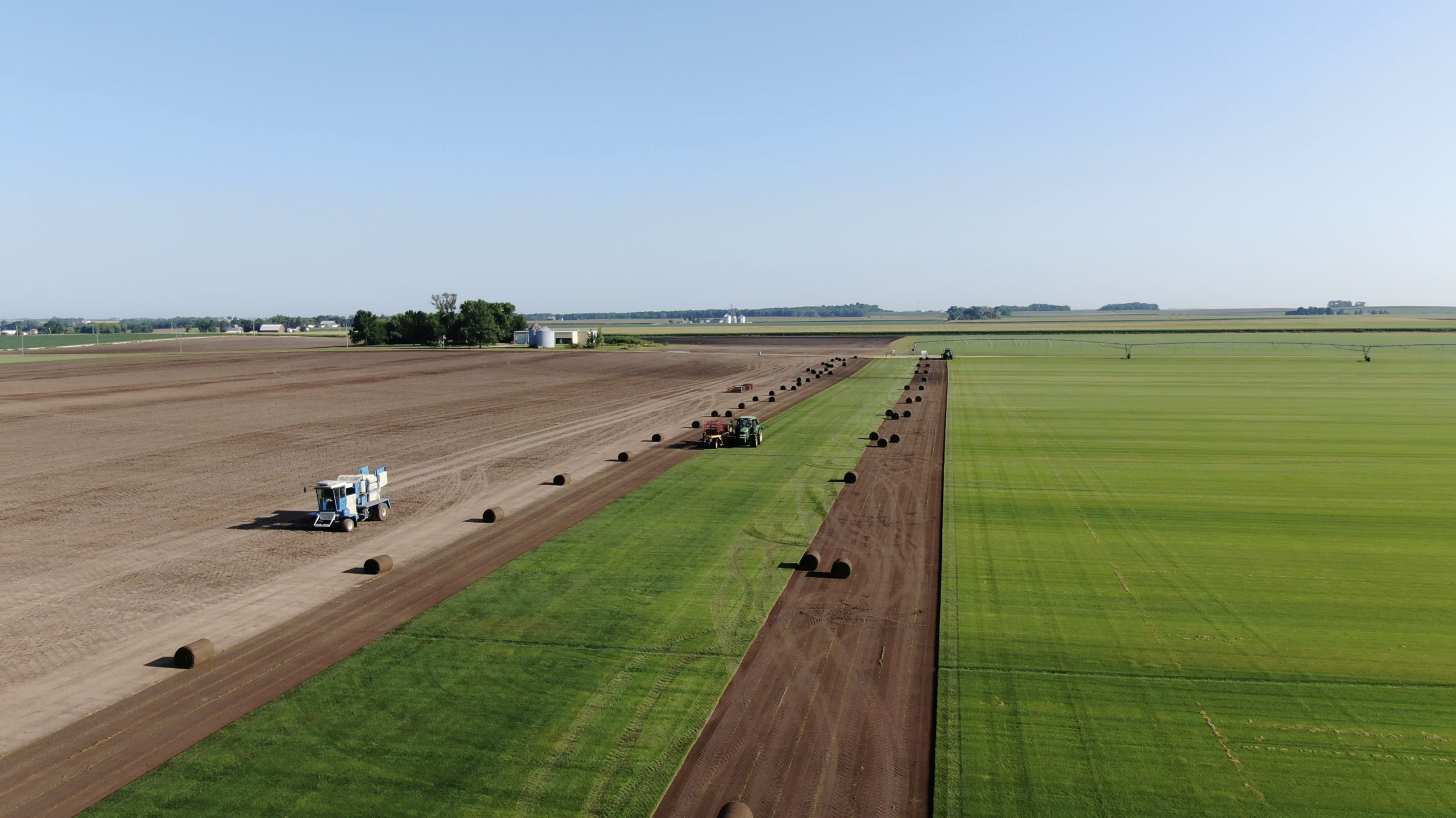 Fresh big rolls sod commercial wholesale retail delivered in Iowa.png