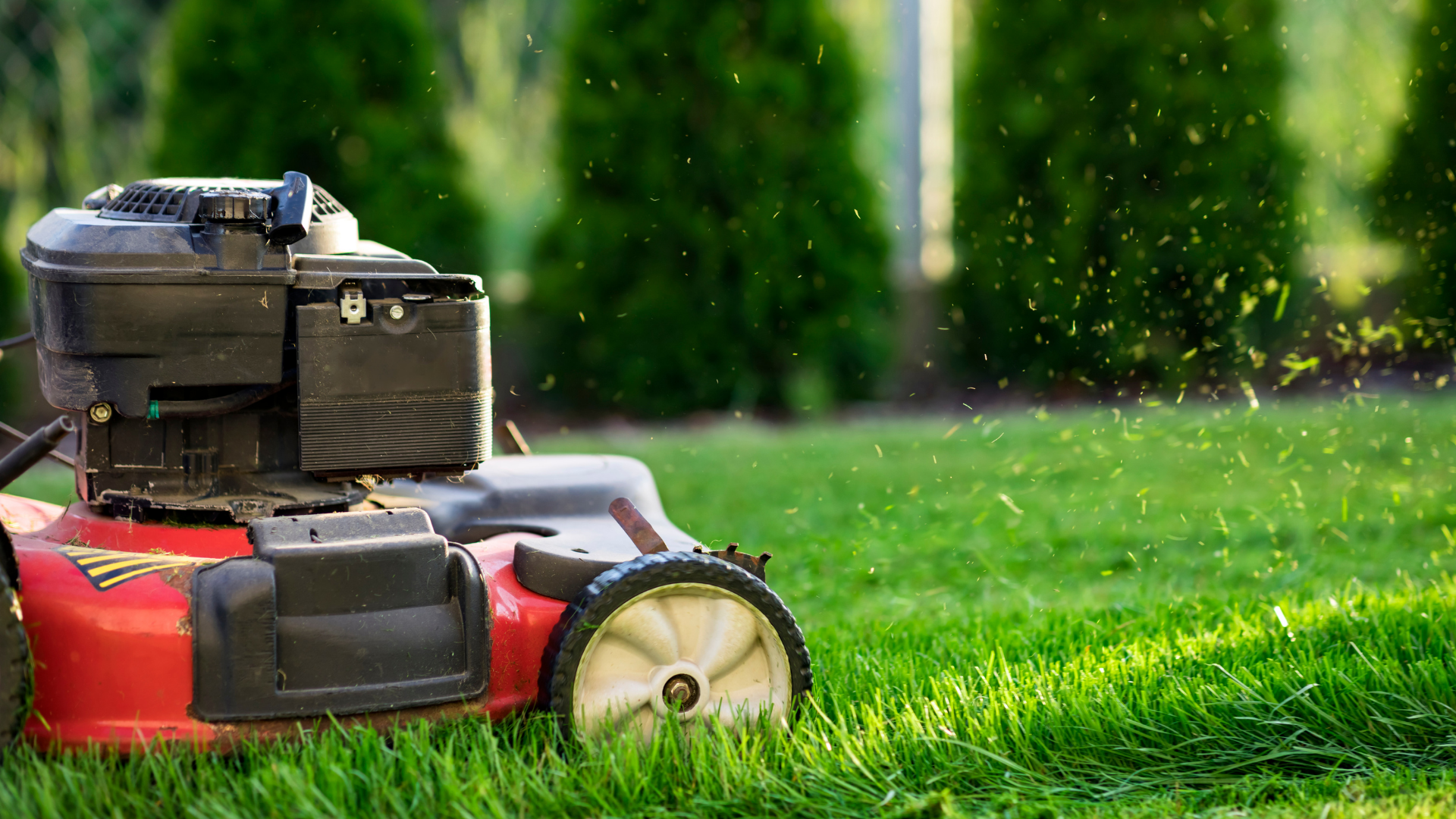 How to mow an Iowa lawn.png