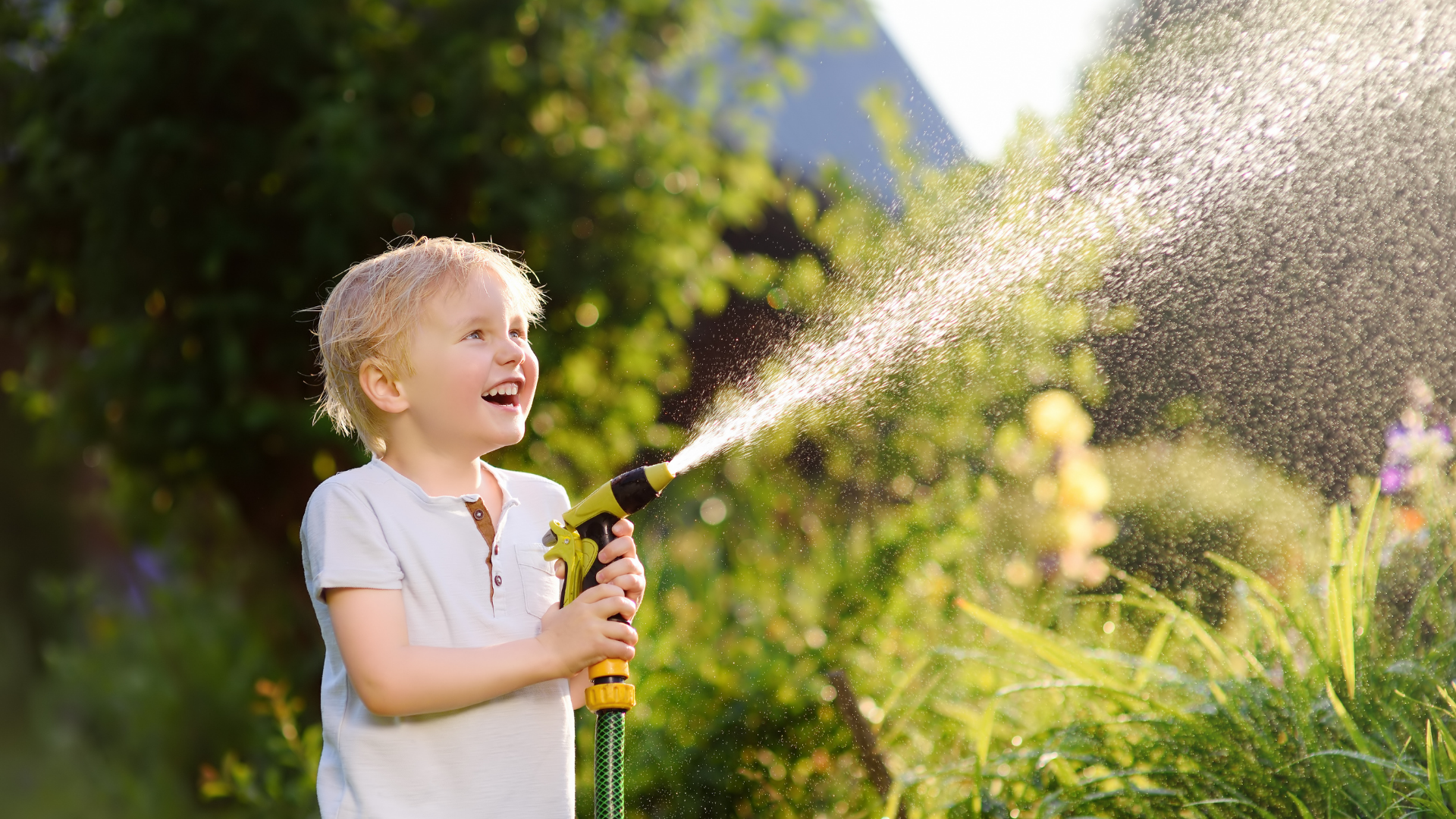 Watering tips for Iowa yards.png