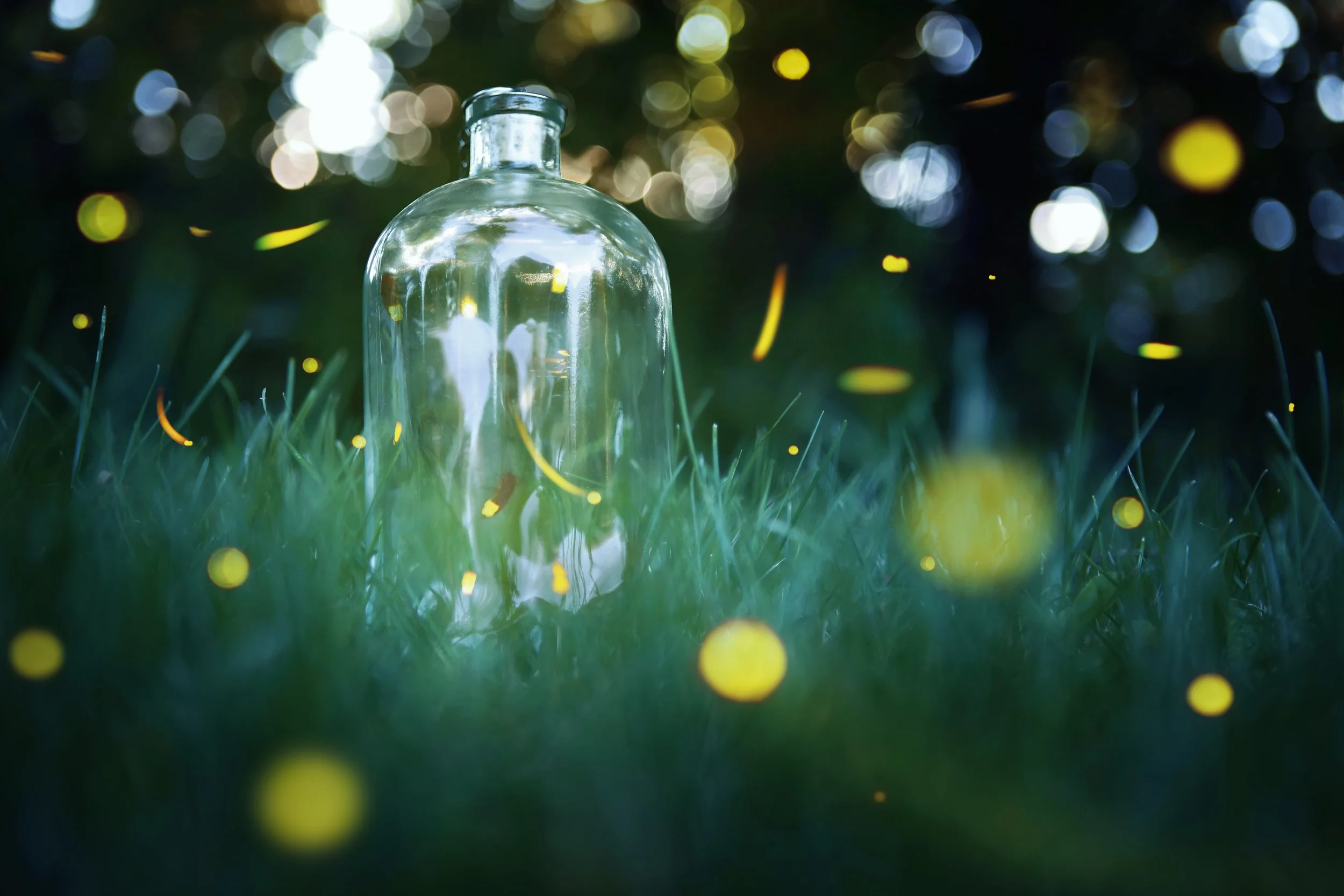 The Benefits of Lawns