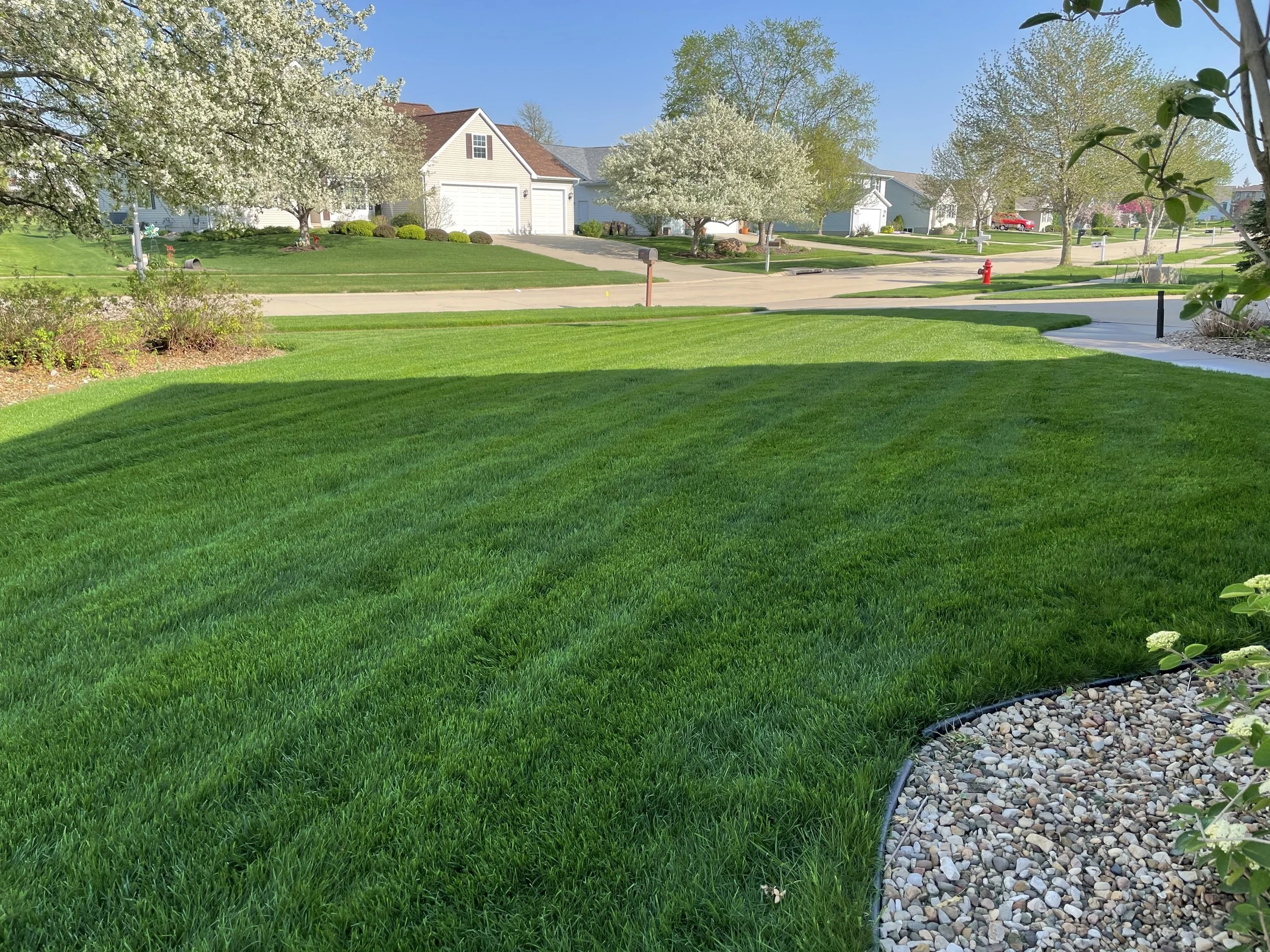 Brand New &amp; Juvenile Lawn Care