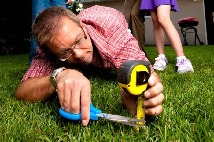Mowing Sustainably - Reflections on the "No Mow May" and "Slow the Mow" Movements