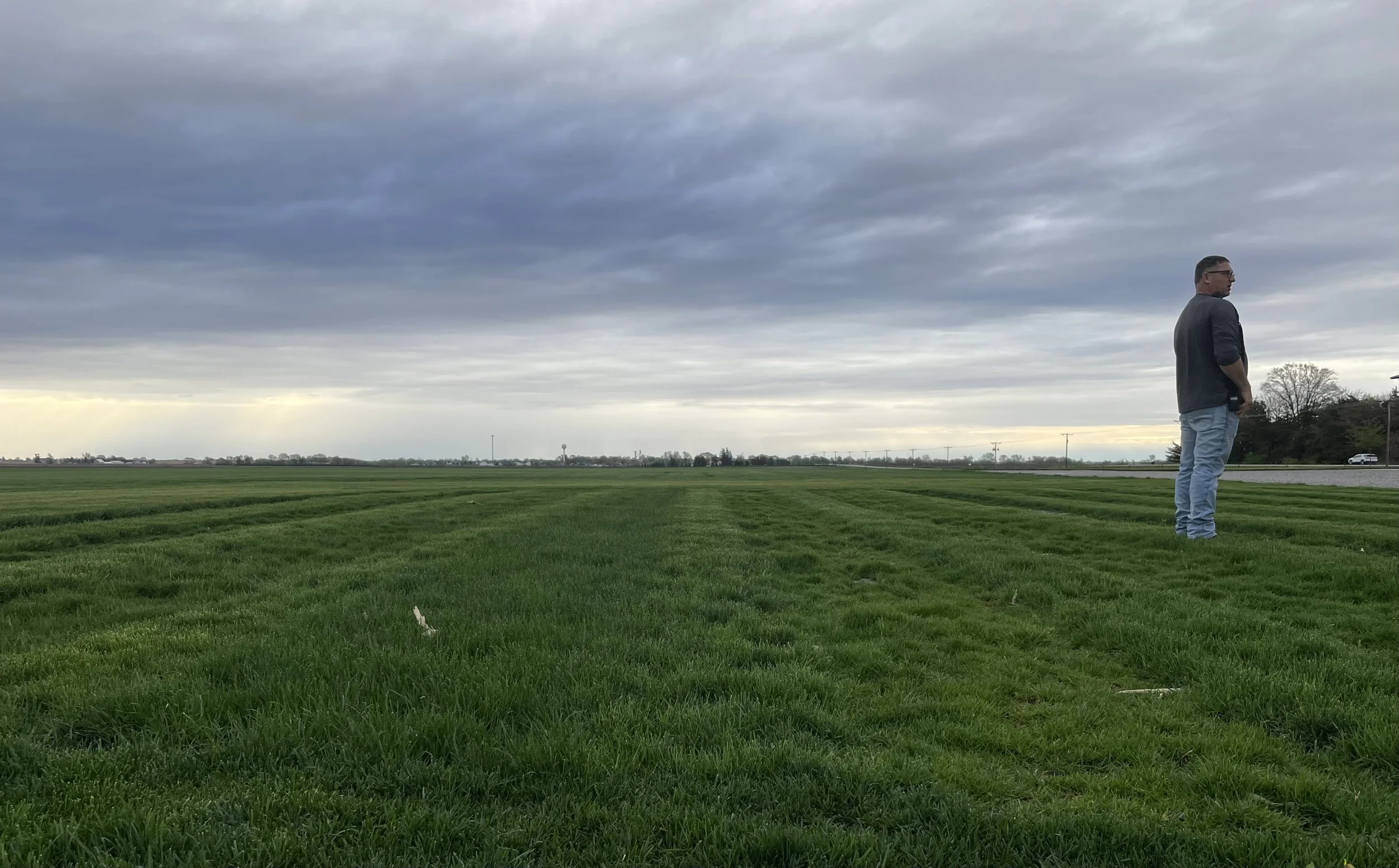 Test Plots - How We Select Cultivars for Blue Grass Sod and Seed