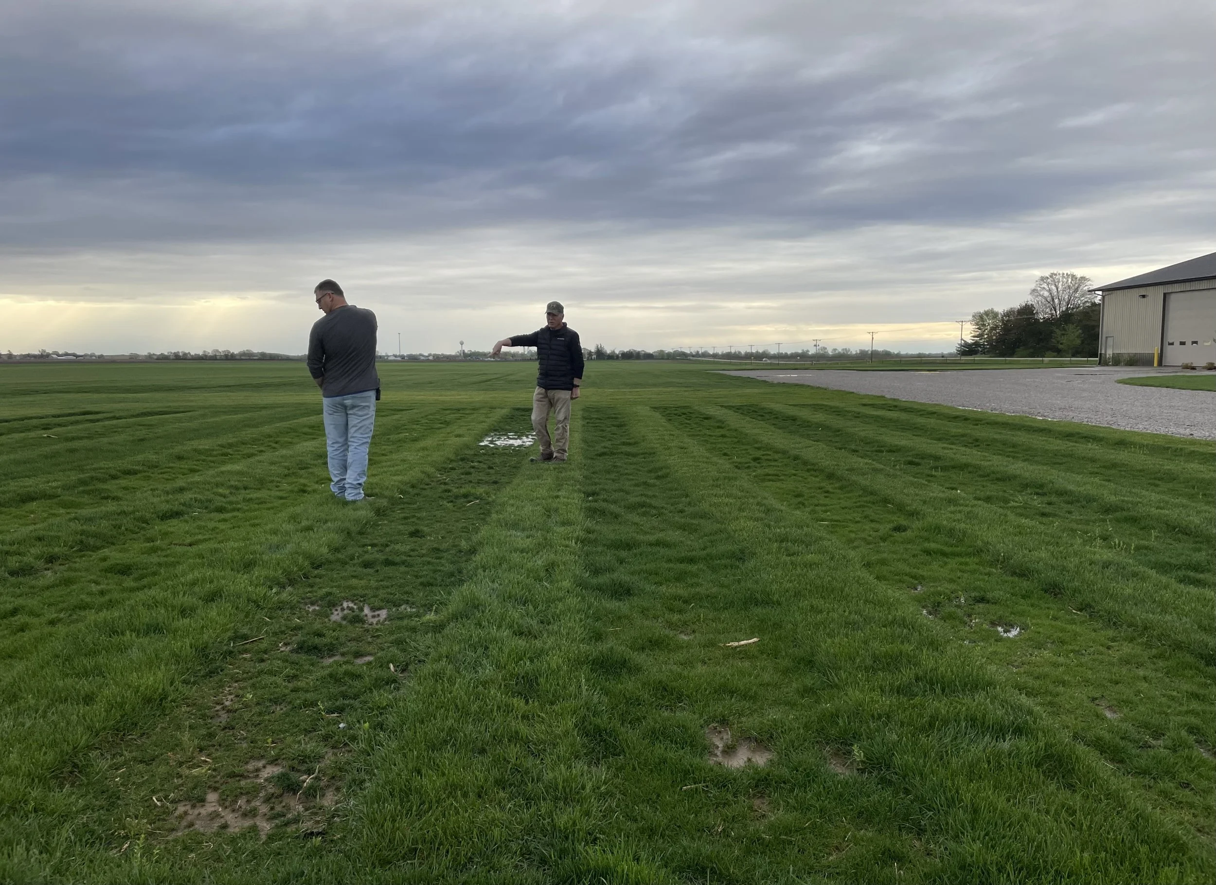 Blue Grass Test Plots