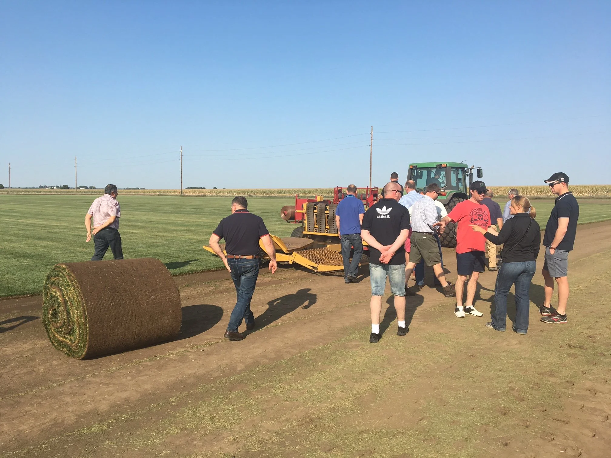 Fresh Cut Big Roll Sod.JPG