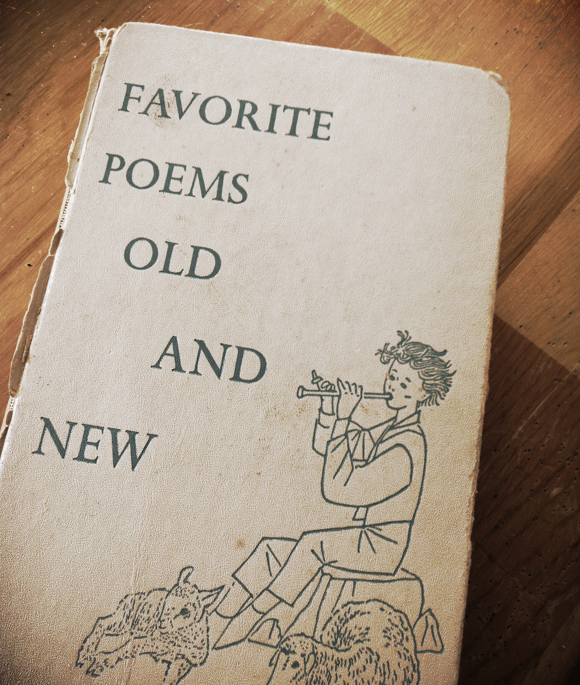 How Poetry Has Found Its Way Into My Life
