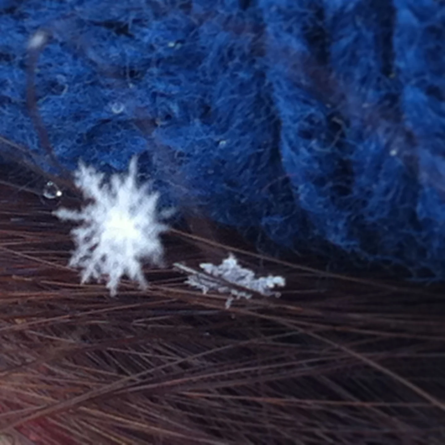 Snowstorm Heading Our Way