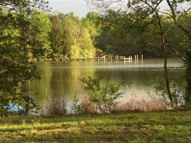 The Trees Remain the Same