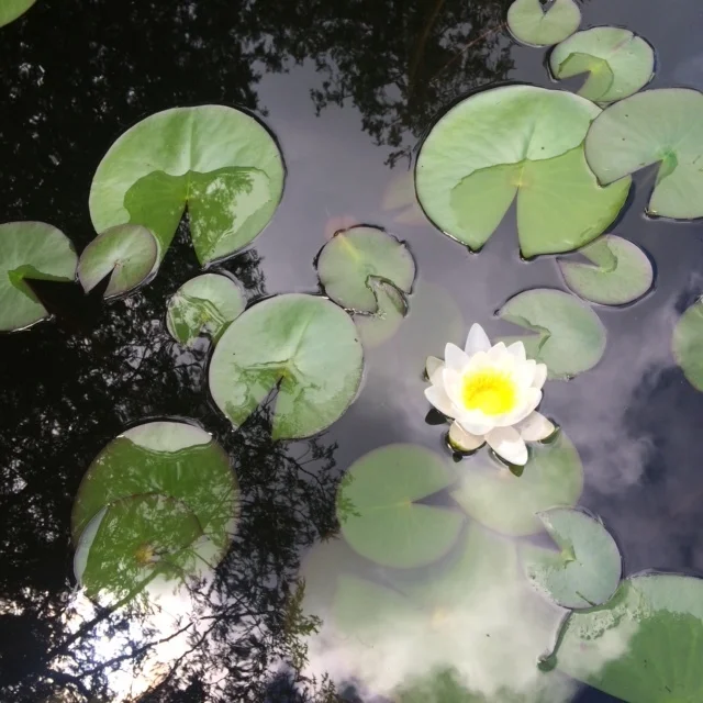 Remaining Open to Possibility