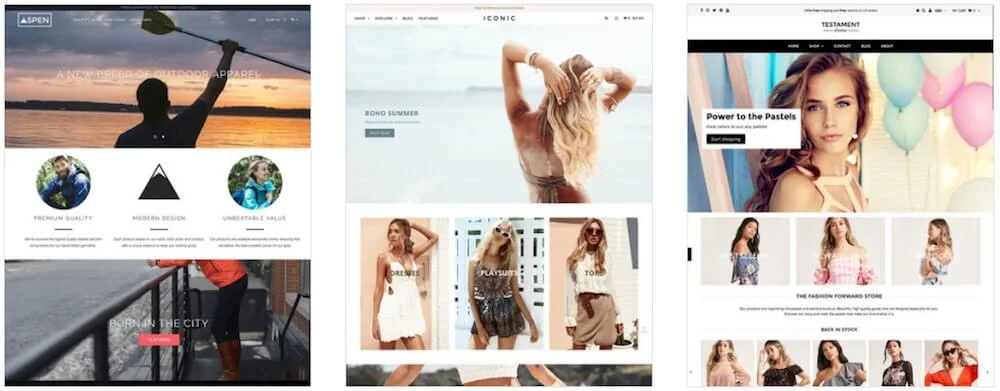 Examples of Shopify's most popular premium themes