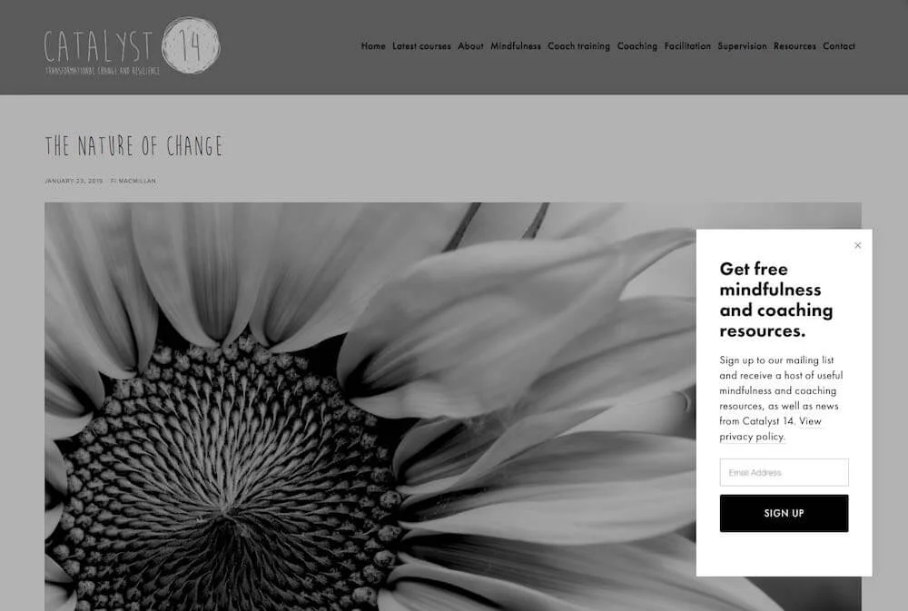 Capturing email addresses on a blog - a very important tactic to increase blog traffic