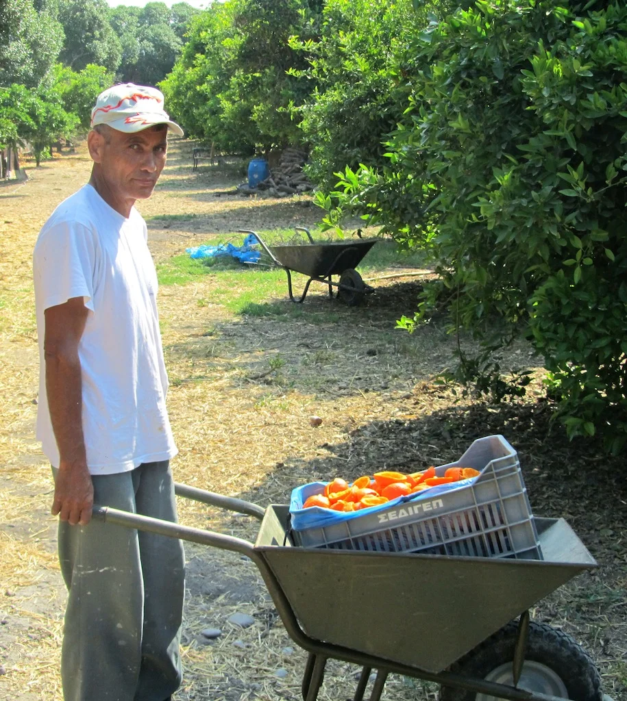 Orchard worker