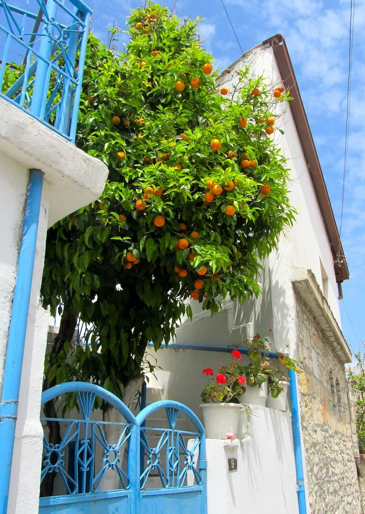 Village street