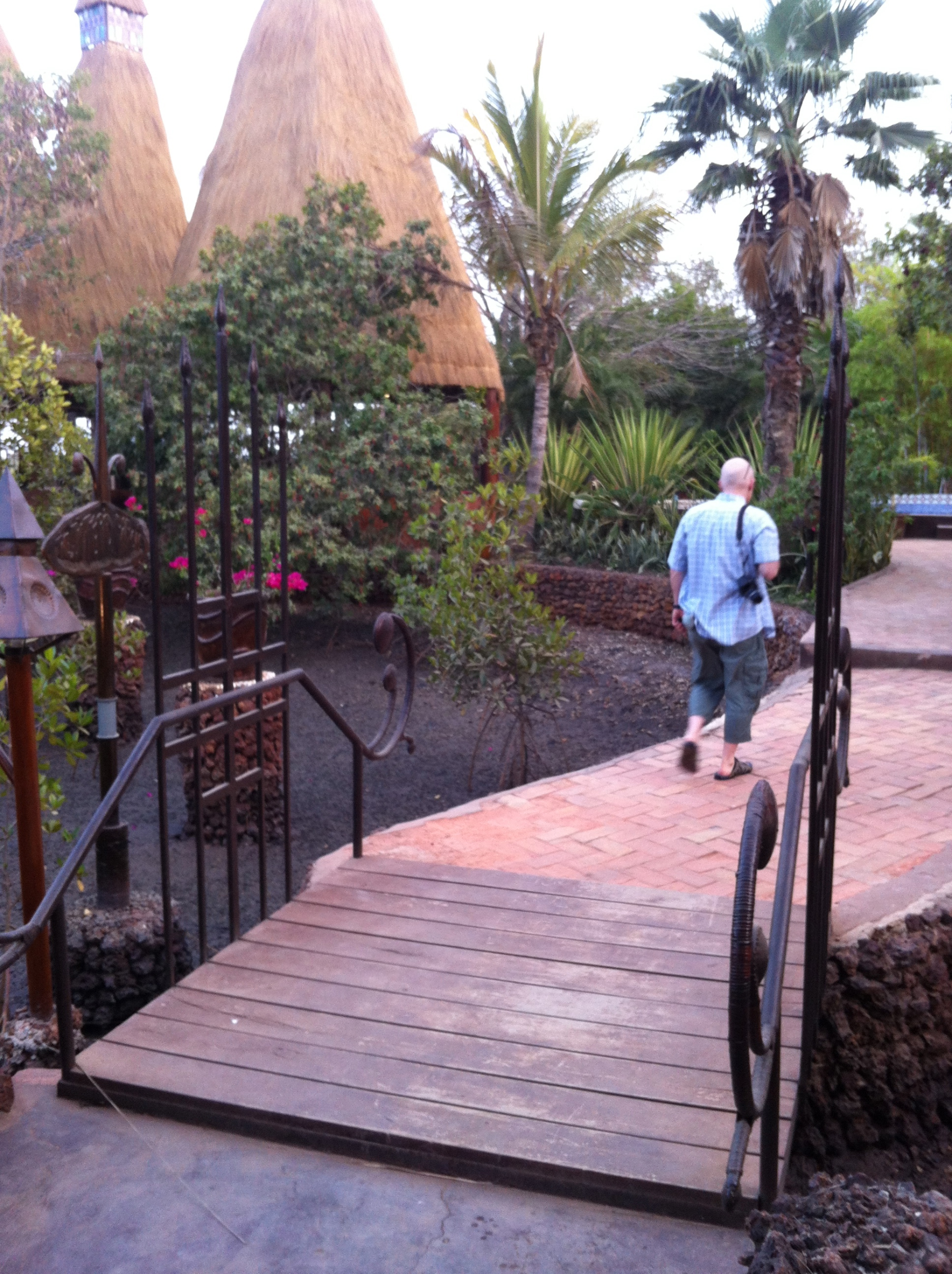 Wooden walkways meander through the mangroves connecting different areas