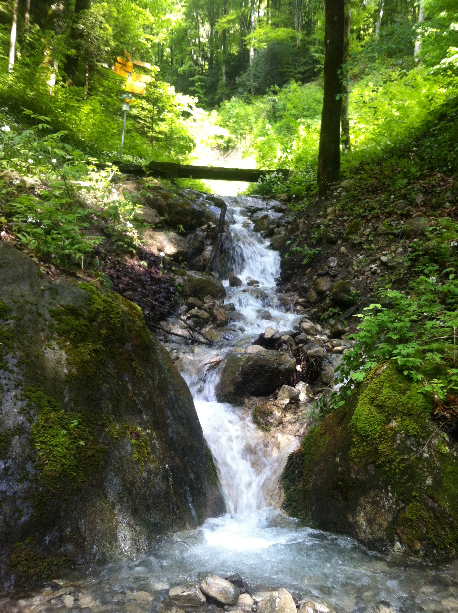 Gotta love a mini-waterfall:)