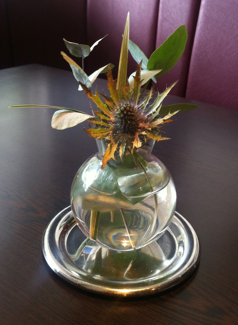 Thistle.jpg
