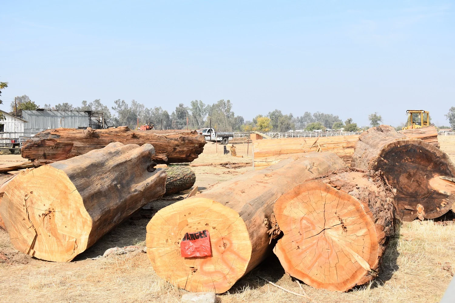 Lumber2.jpg