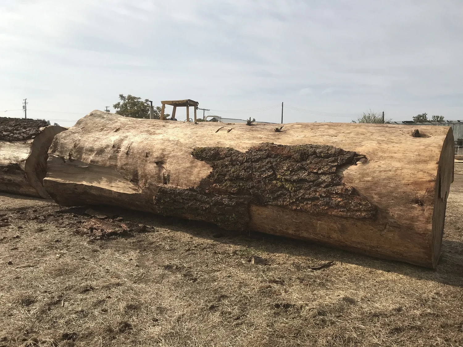 logs.jpg