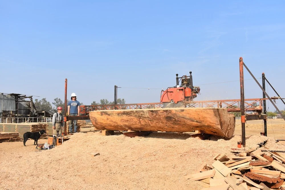 Witt Hardwoods California Buckeye Burl