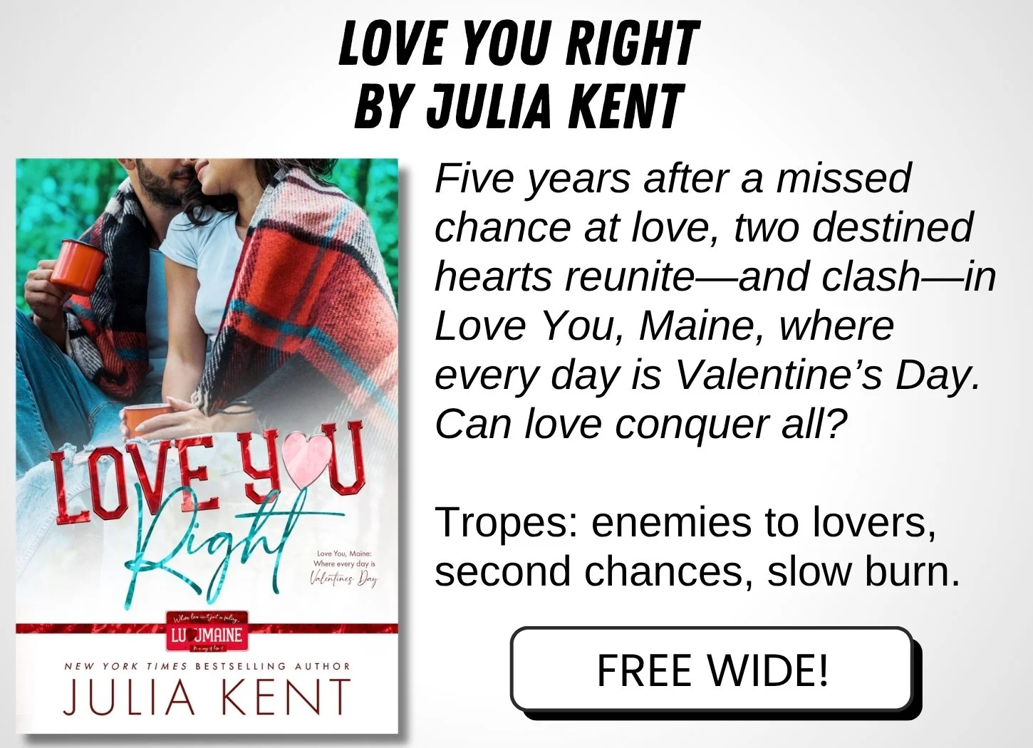 love you right by julia kent