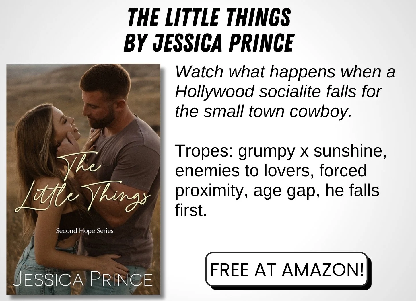 the little things by jessica prince