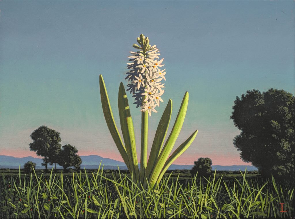 Landscape-with-a-Hyacinth_2020-o-c_12x16-web-1024x761.jpg