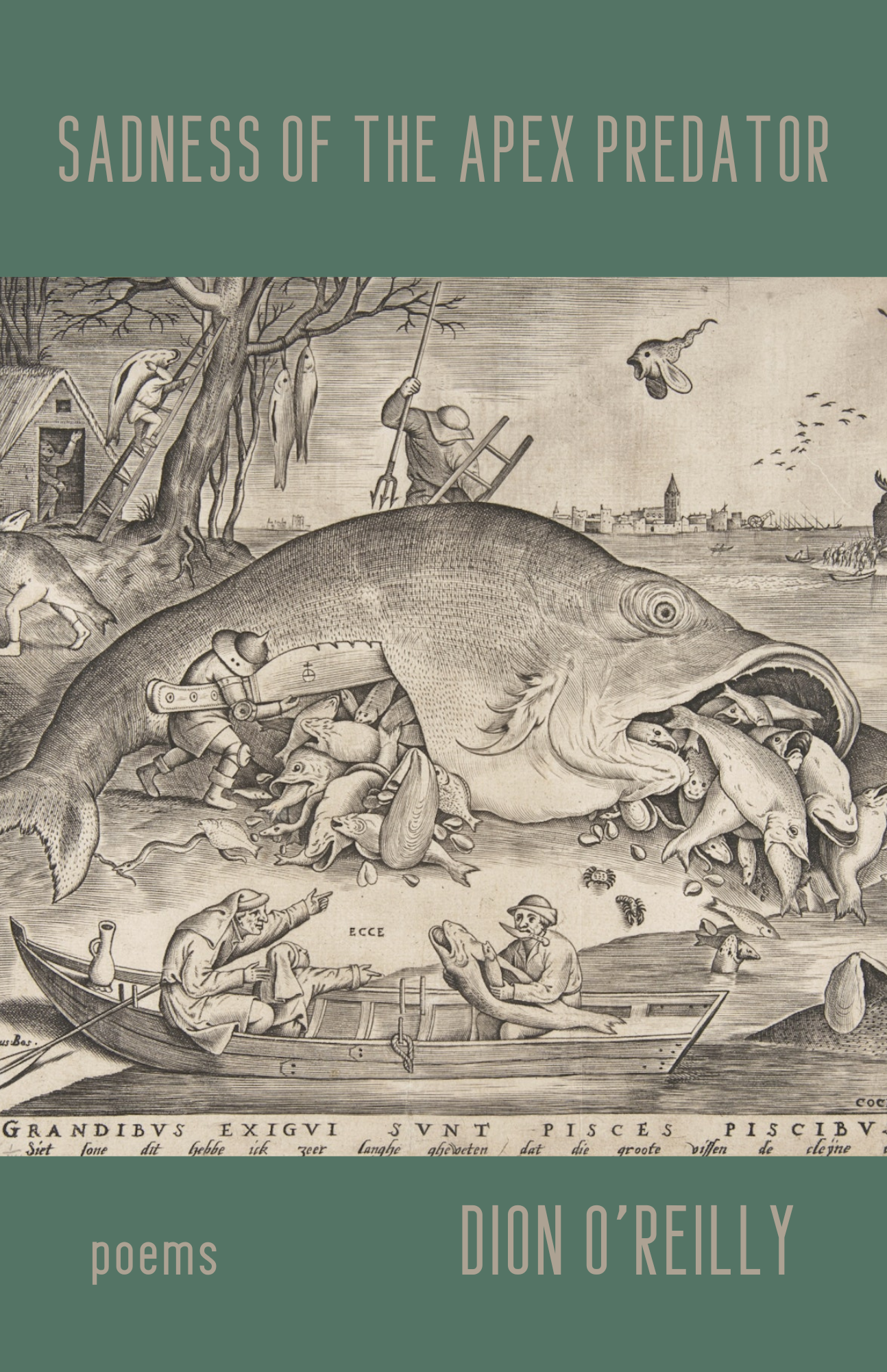 Lit Chat with Dion O'Reilly