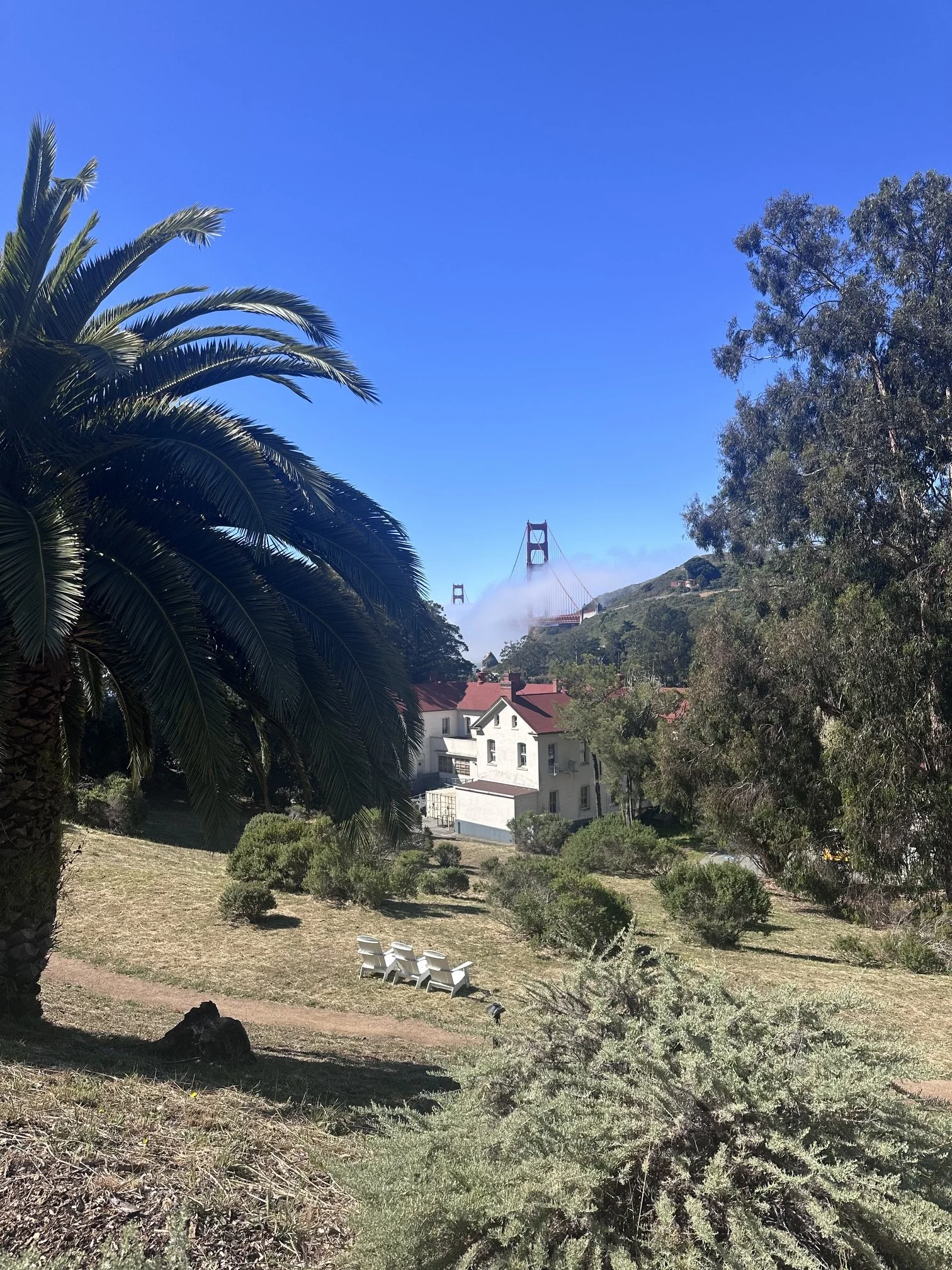 IMG_2174.jpeg