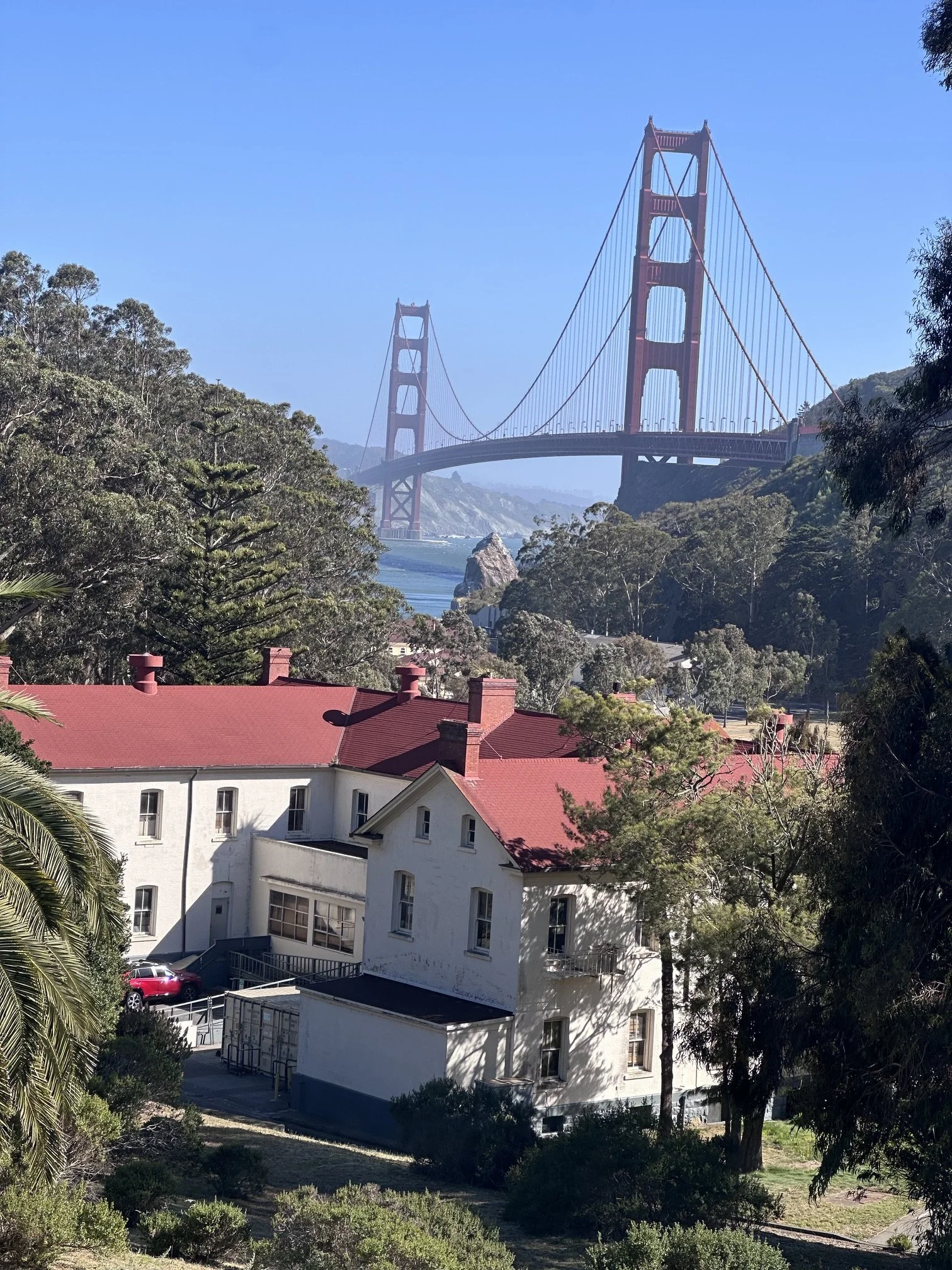 IMG_2163 (2).jpeg