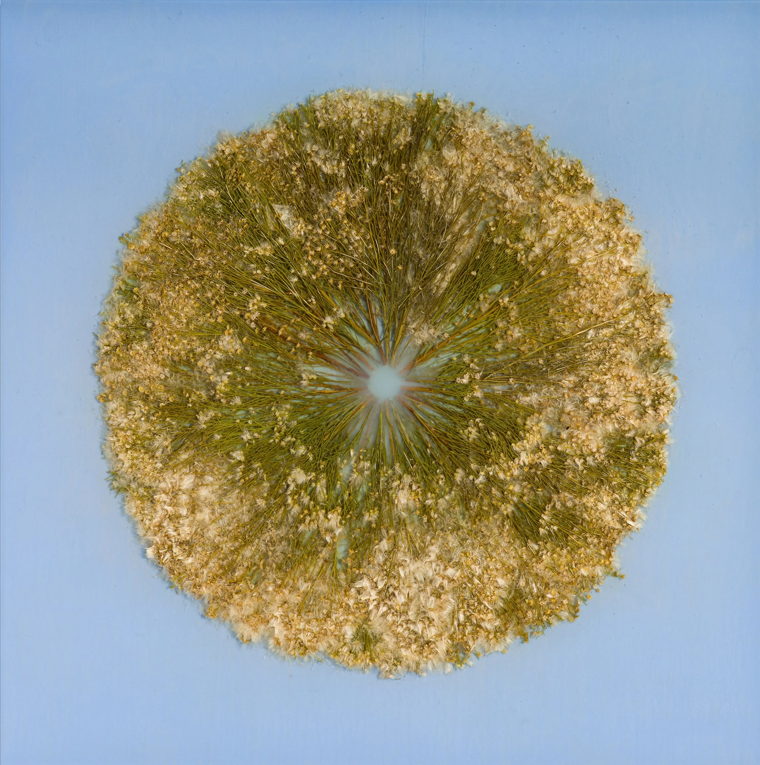 Kratz_Vanishing Light 59_2026 (1).jpg