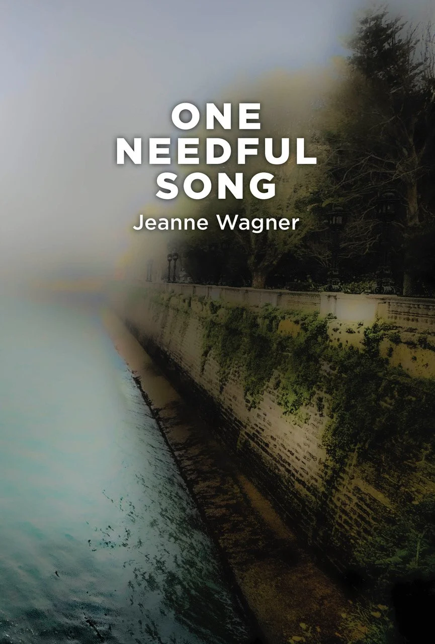 CAT-COVER-poetry book 2024-7-front cover only.jpeg