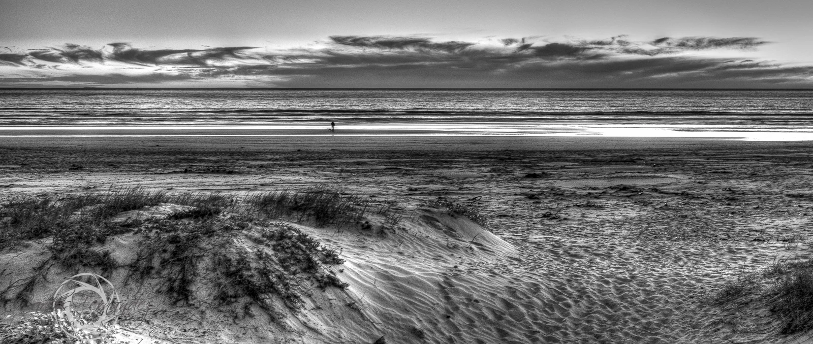 Sweeping Cape Town Sunset with a Man and his Dog, My 365 Project 115/365