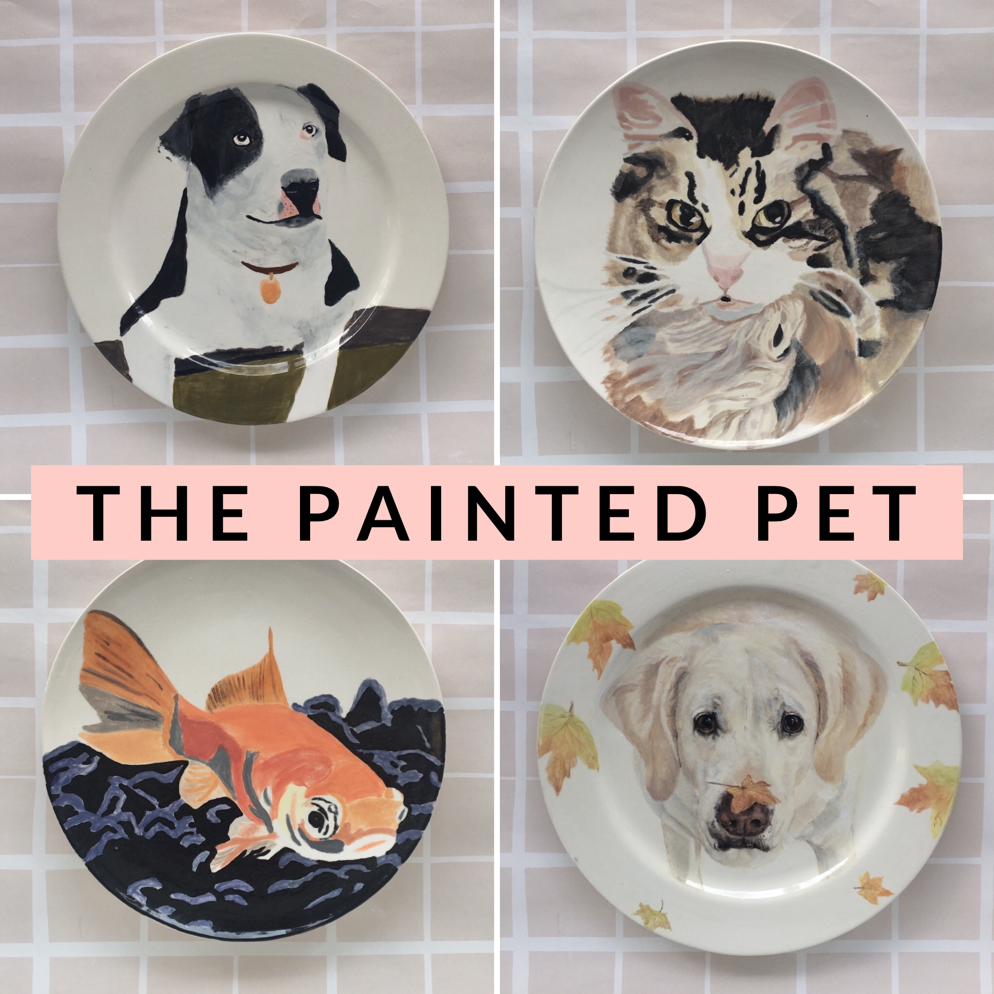 The Painted Pet