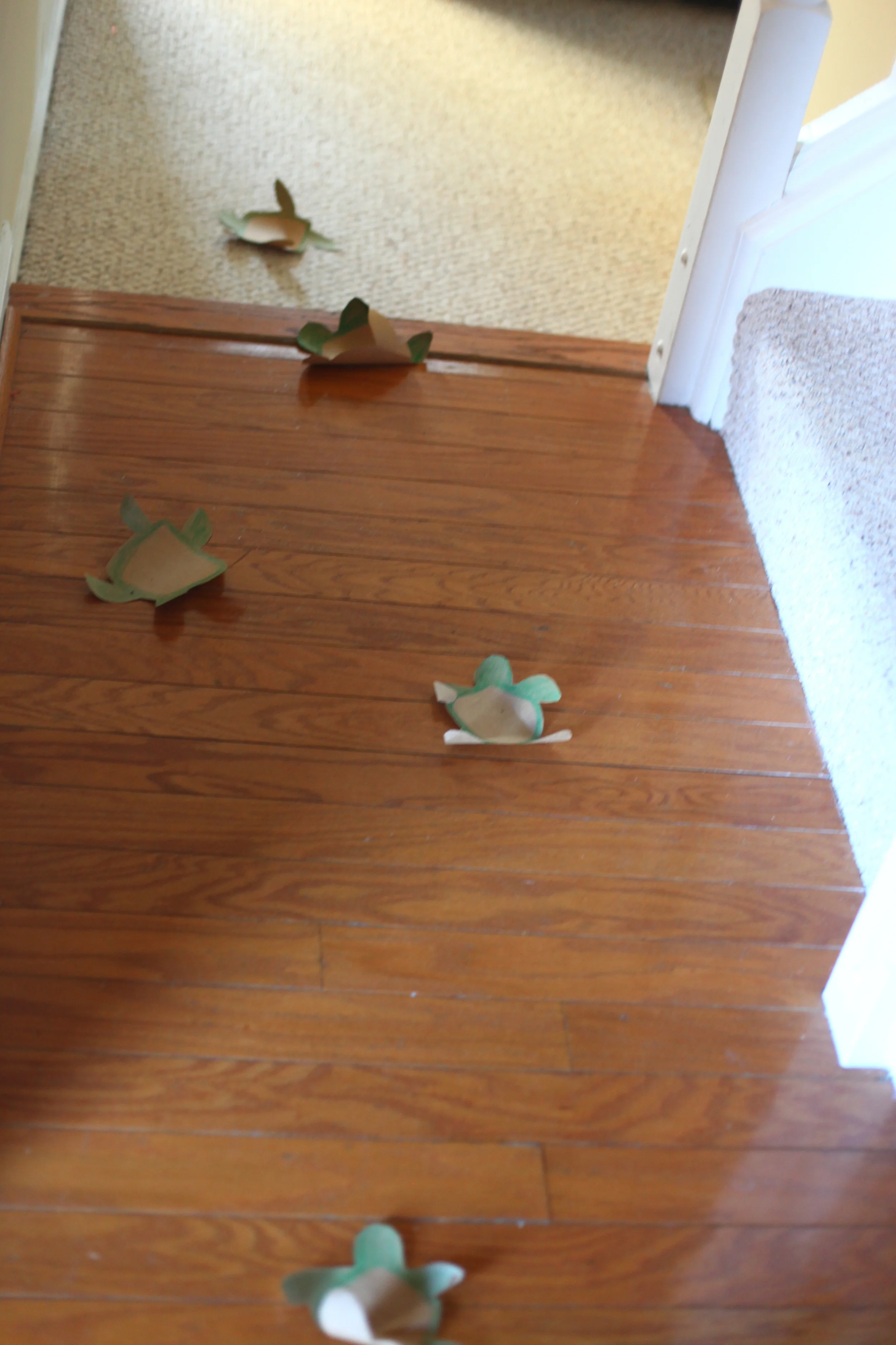 IMG_0321_2605.JPG