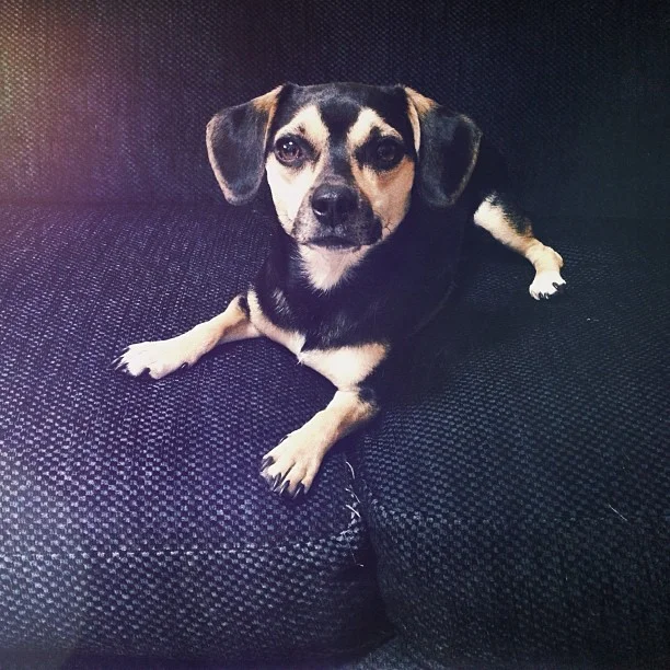 She's an adorable little monster, isn't she?