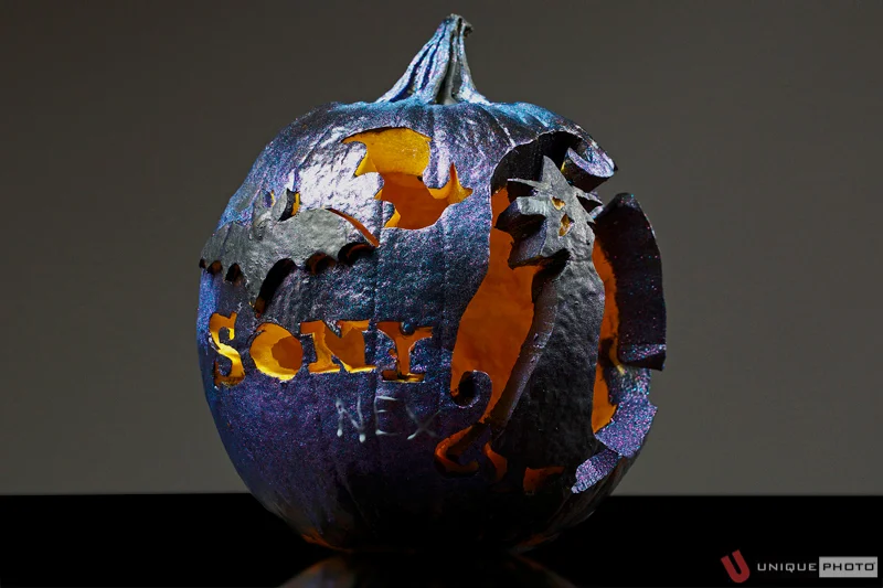 Sony NEX pumpkin (featuring a “witch-tographer” shooting bats) by Taryn Truese