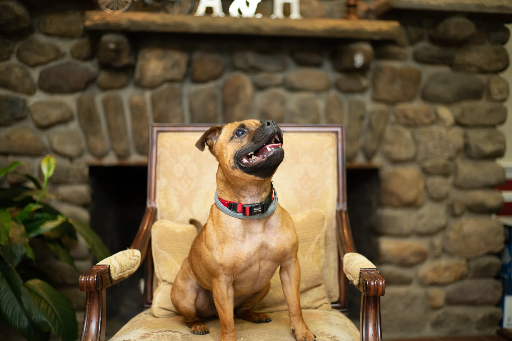 Sparta NJ Attorney Headshots — Askin & Hooker, LLC Dan Schenker