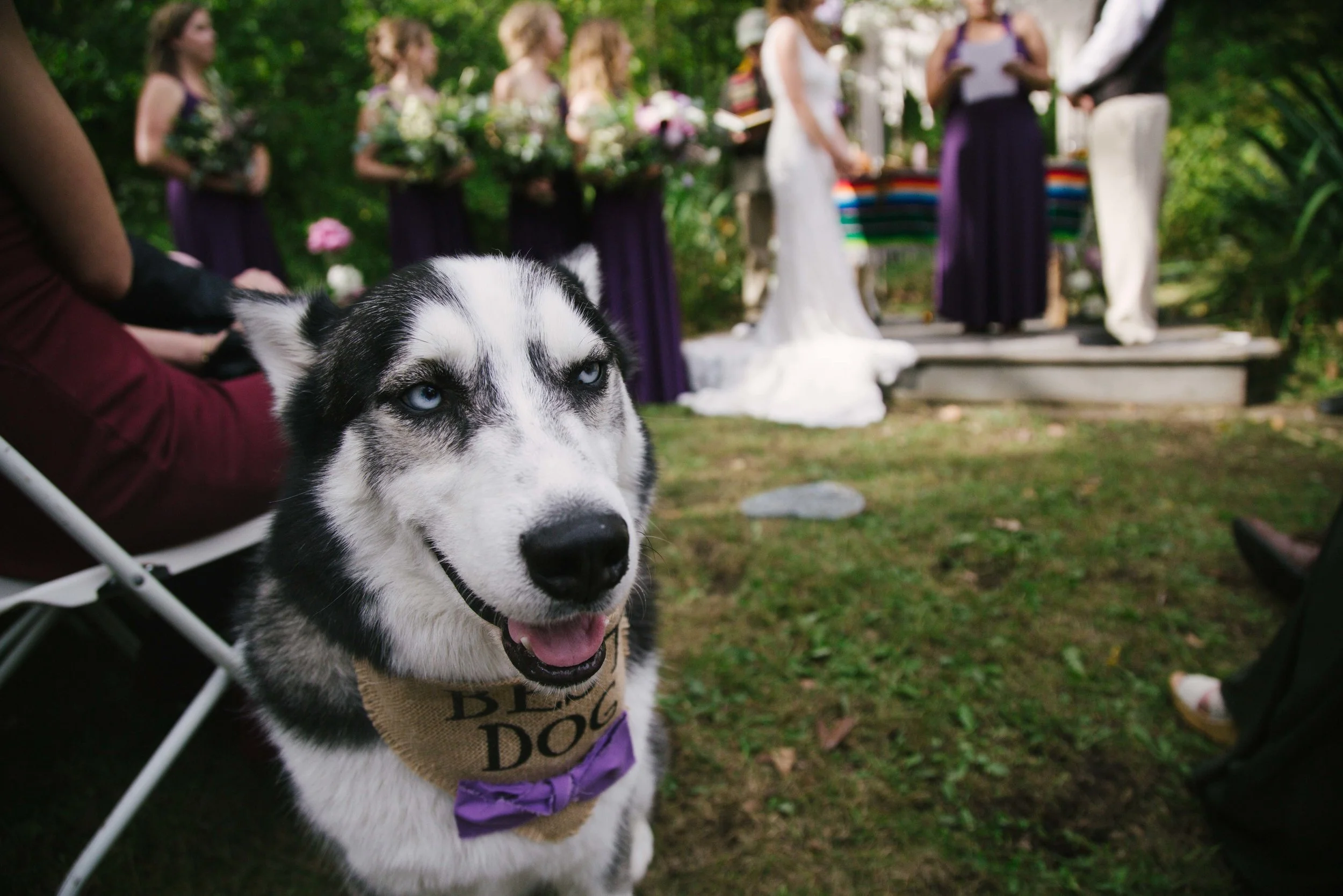 Alysa and Sean's Magical Stillwater Wedding in the Woods-36.jpg