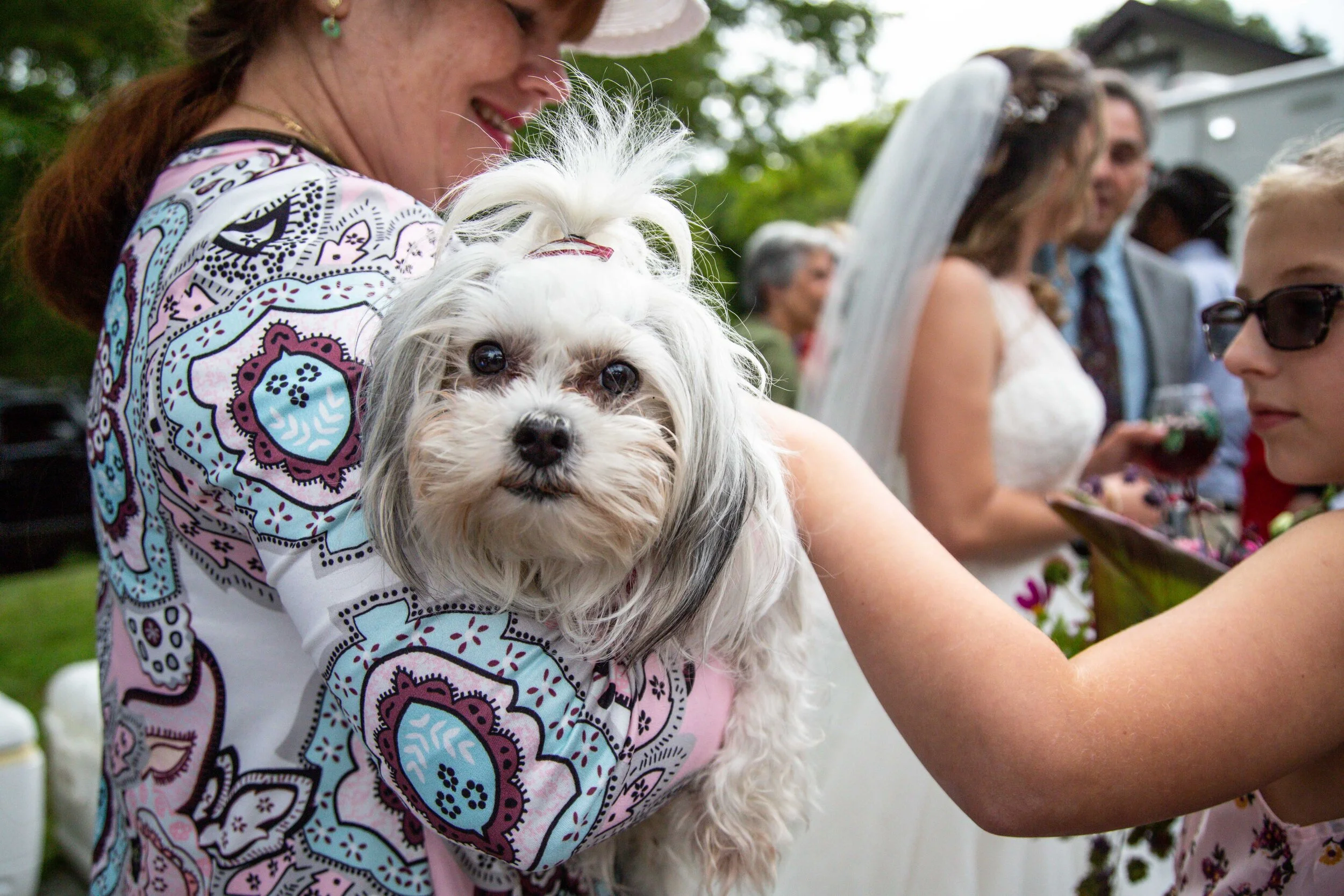 Backyard Homebrew Wedding in Branchville NJ by Dan Schenker Photography-35.jpg