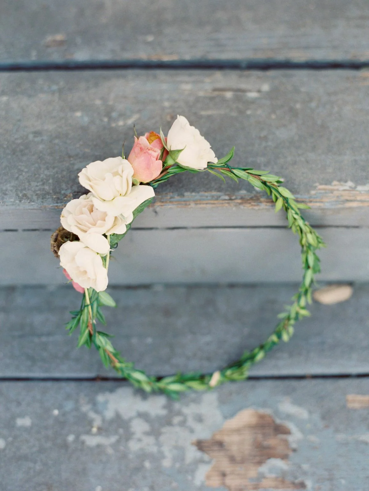 Michelle Boyd Photography