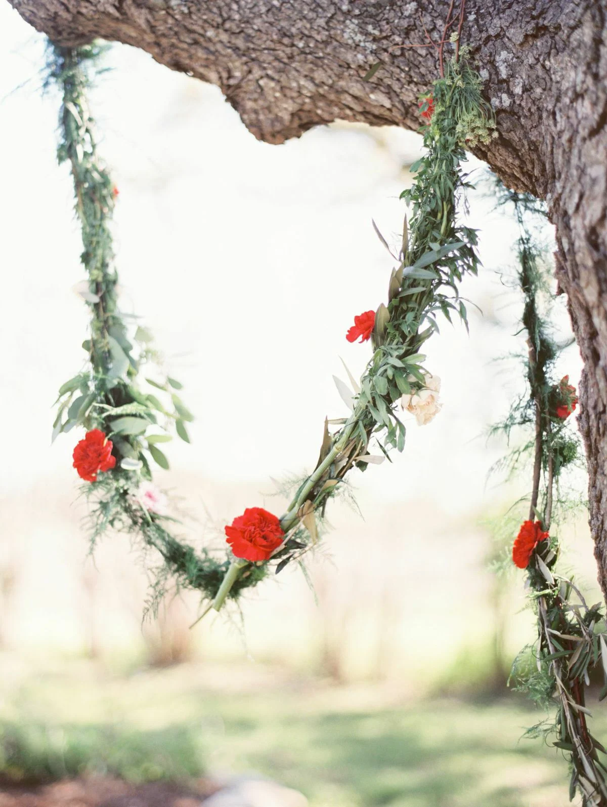 Michelle Boyd Photography