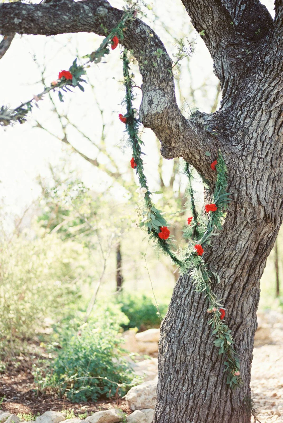 Michelle Boyd Photography