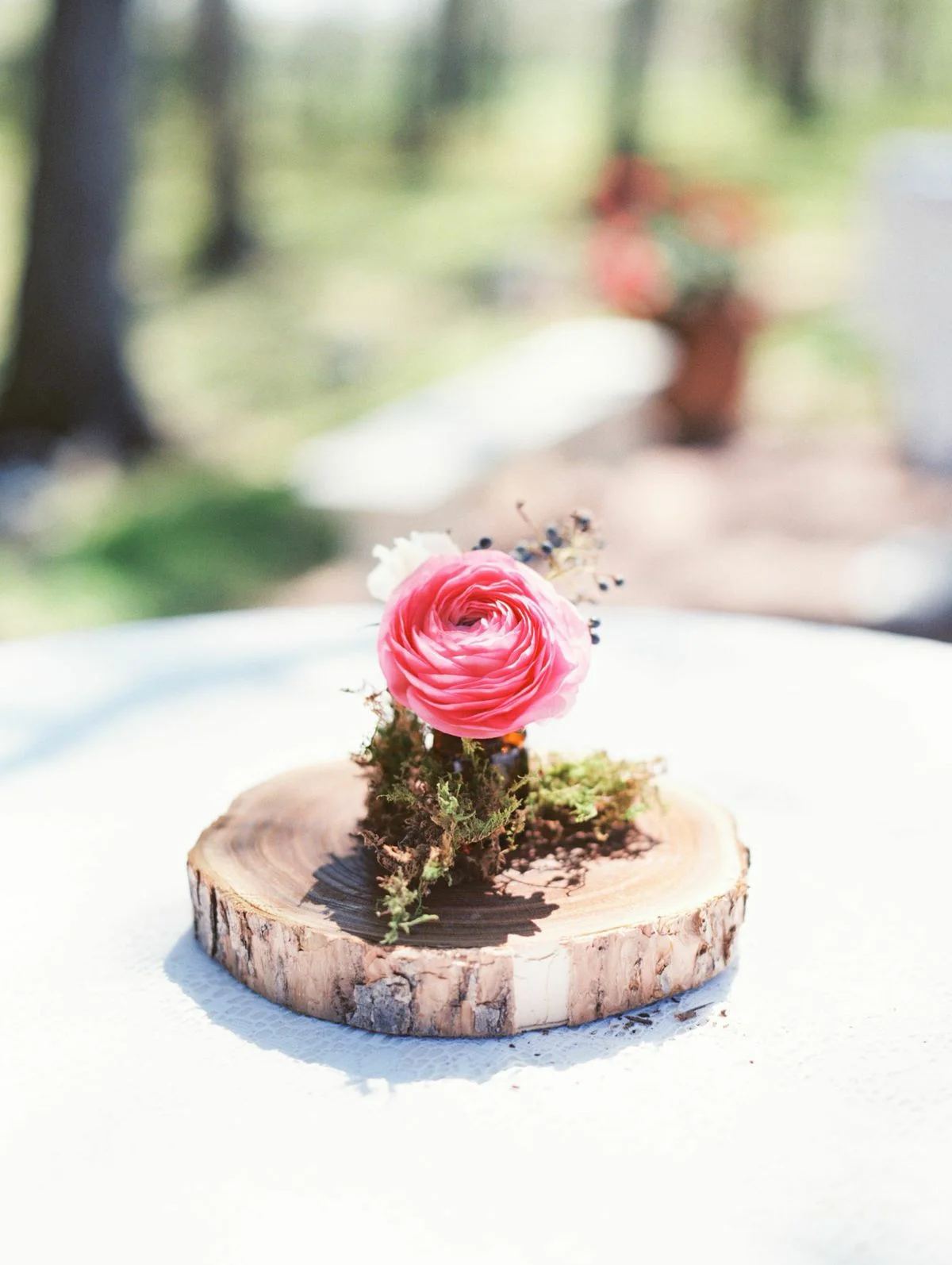 Michelle Boyd Photography