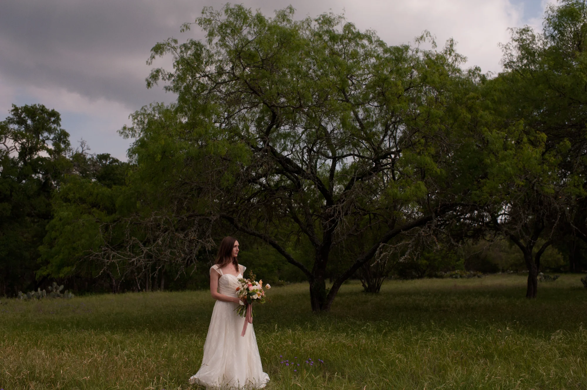   Kristi Wright Photography  