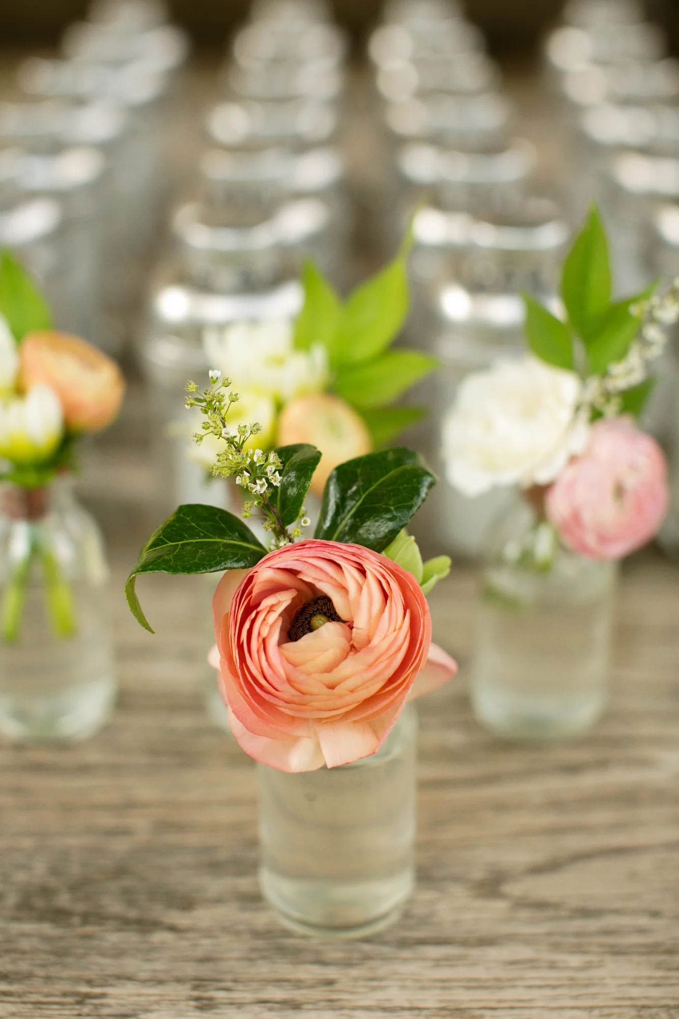   Kristi Wright Photography  