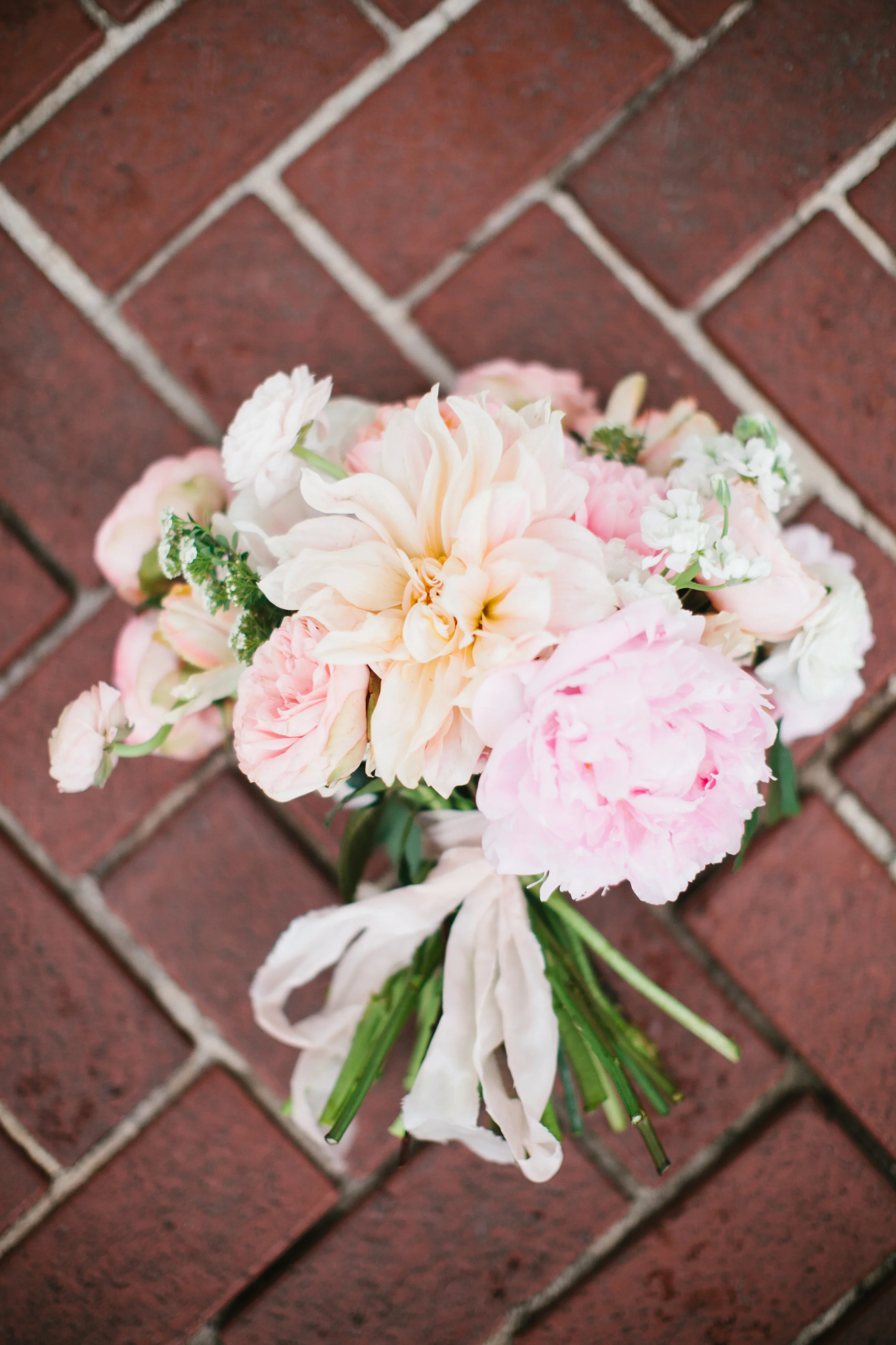 Jessica Scott Photography