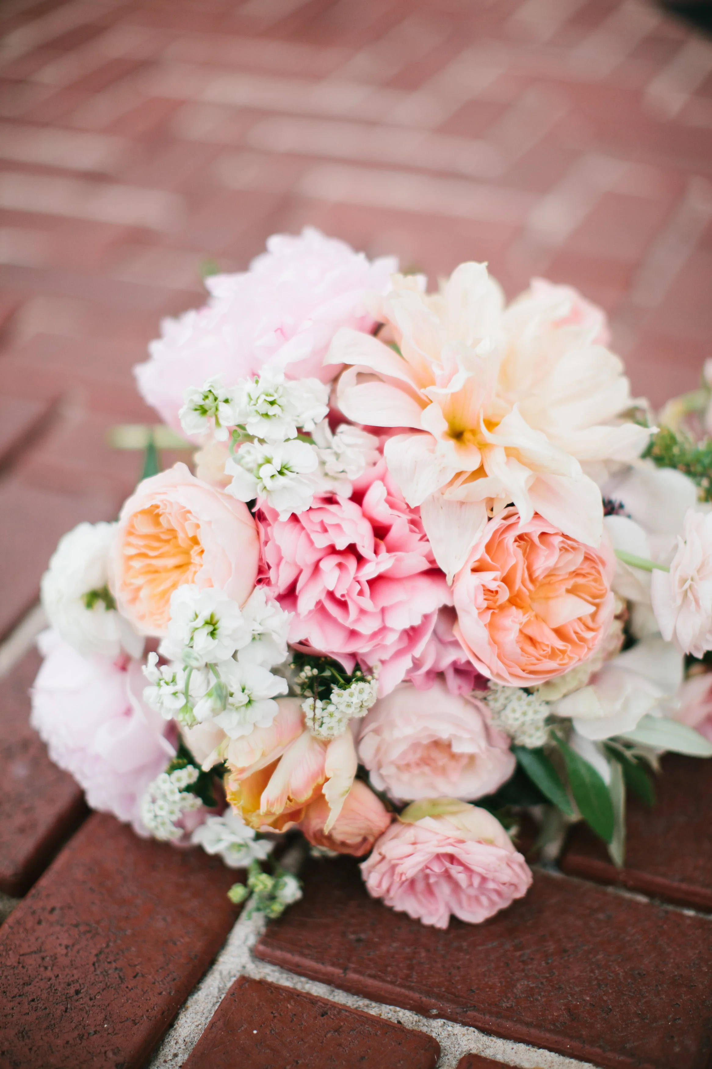 Jessica Scott Photography